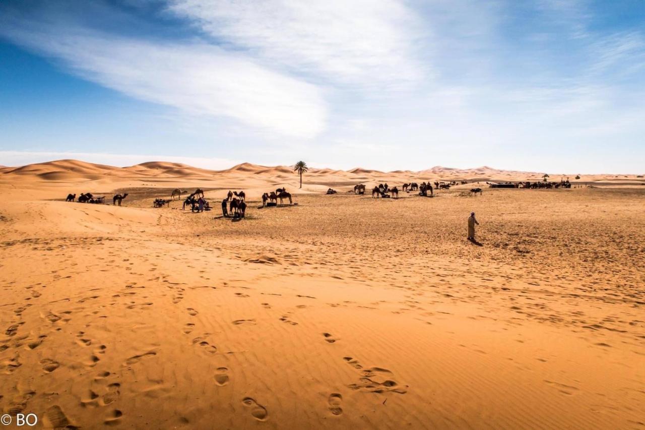 Sahara Wellness Camp Bed & Breakfast Merzouga Exterior photo